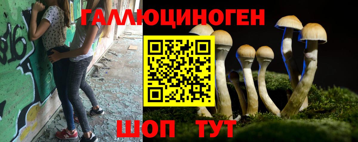Псилоцибиновые грибы MAGIC MUSHROOMS Новоуральск