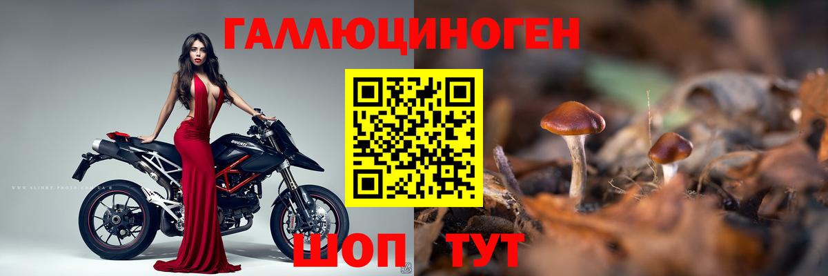 Новоуральск  Псилоцибиновые грибы GOLDEN TEACHER  Вход с VPN 