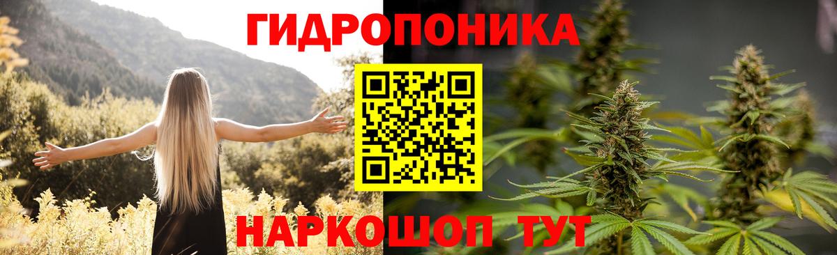 МАРИХУАНА Amnesia  Вход с VPN  МАРИХУАНА тримм  МАРИХУАНА ГИДРОПОН  Новоуральск 